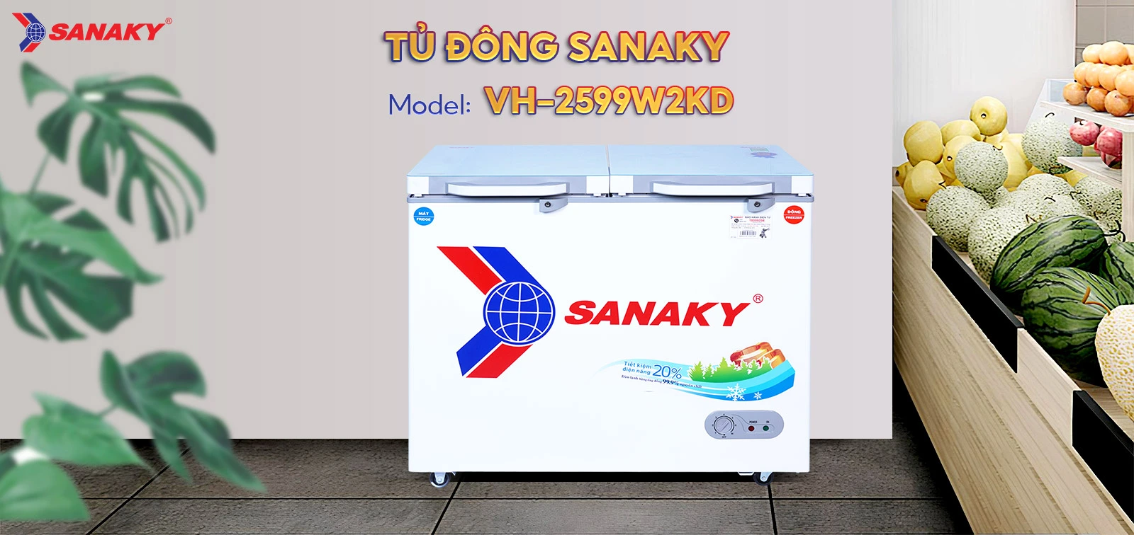 Tủ Đông Sanaky VH-2599W2KD
