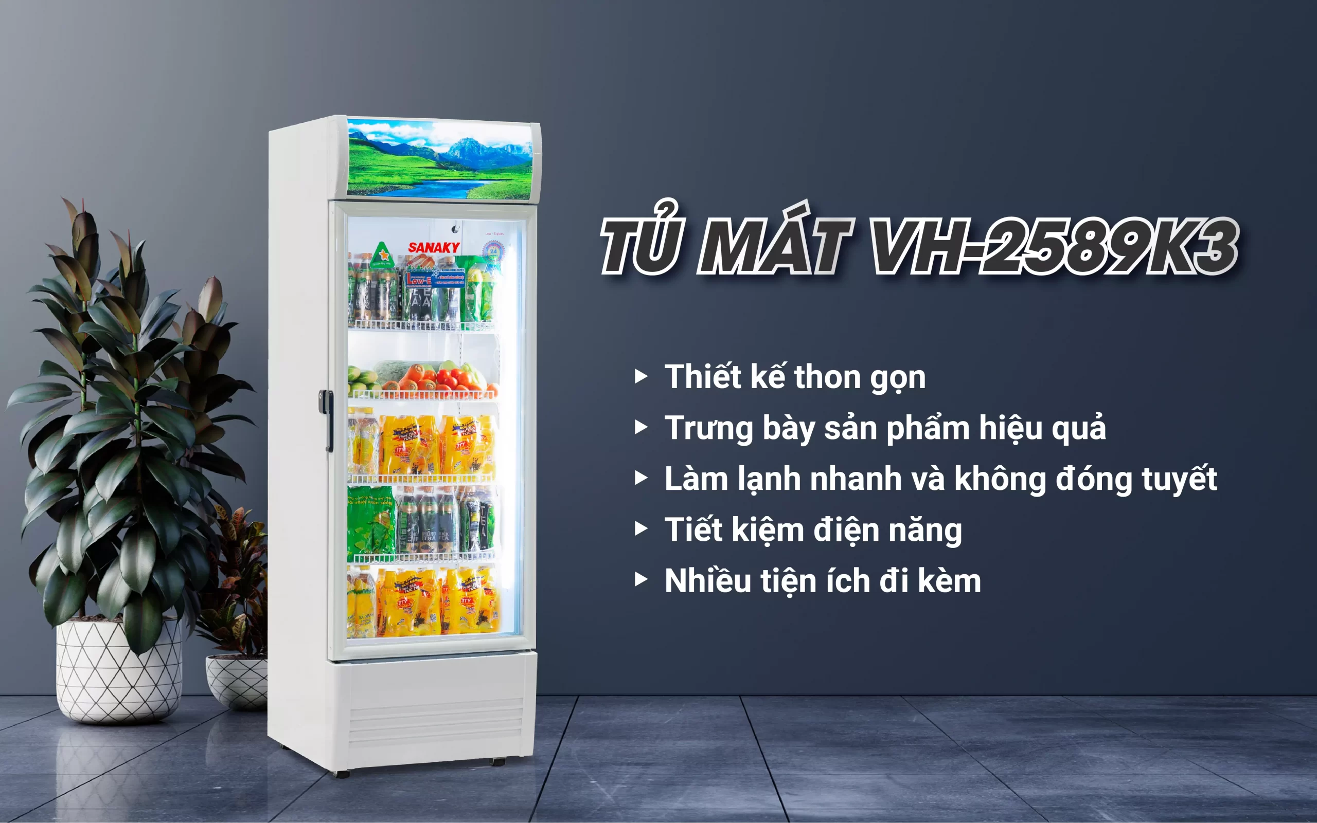Tủ Mát Sanaky VH-2589K3