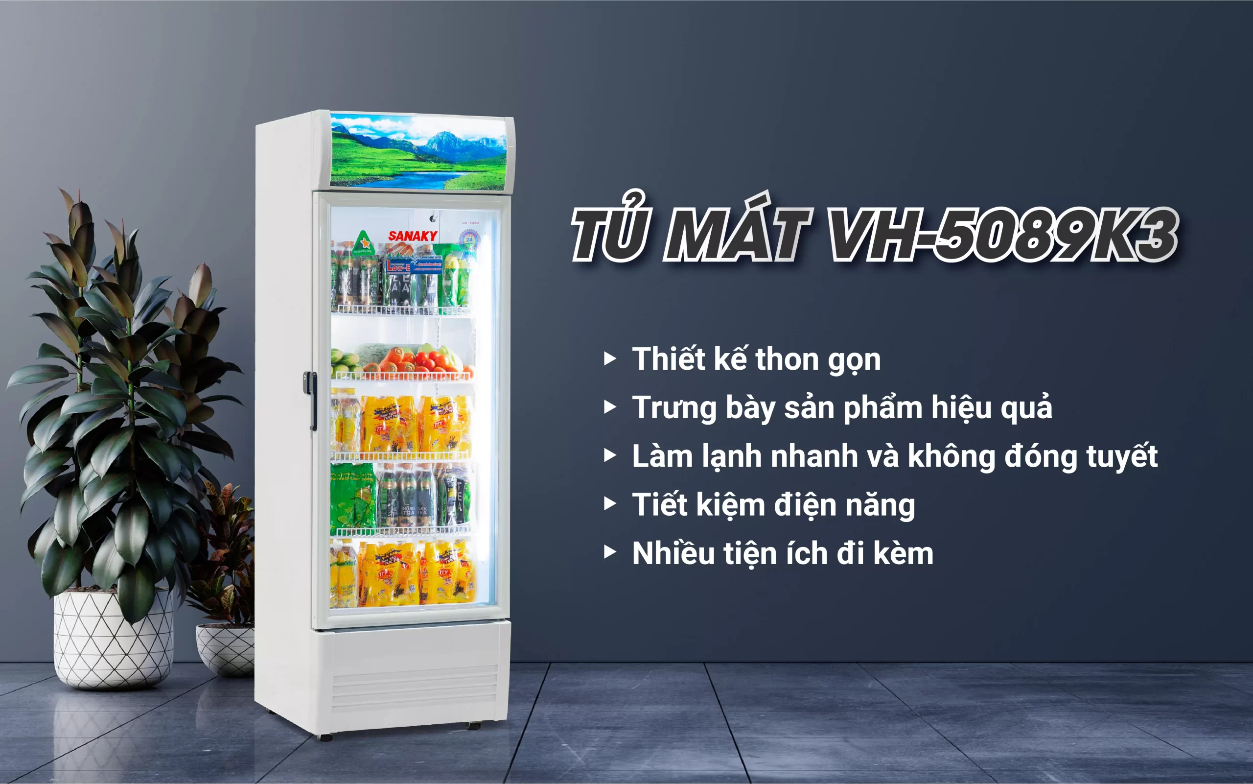 Tủ Mát Sanaky VH-5089K3