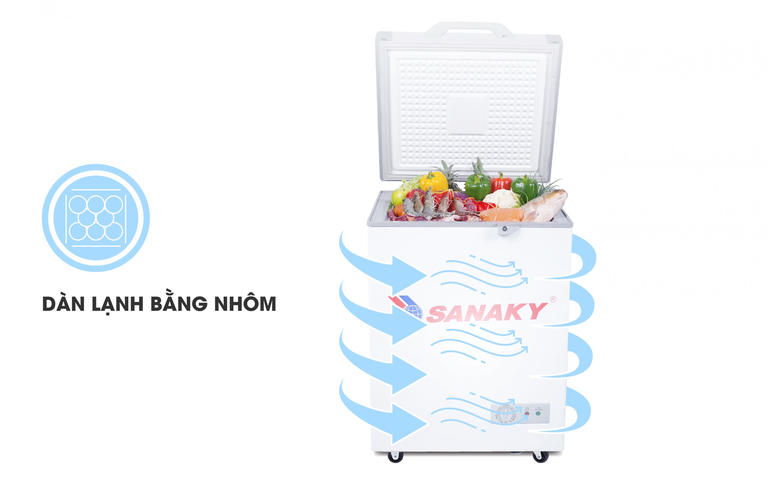 Tủ Đông Sanaky VH-999K