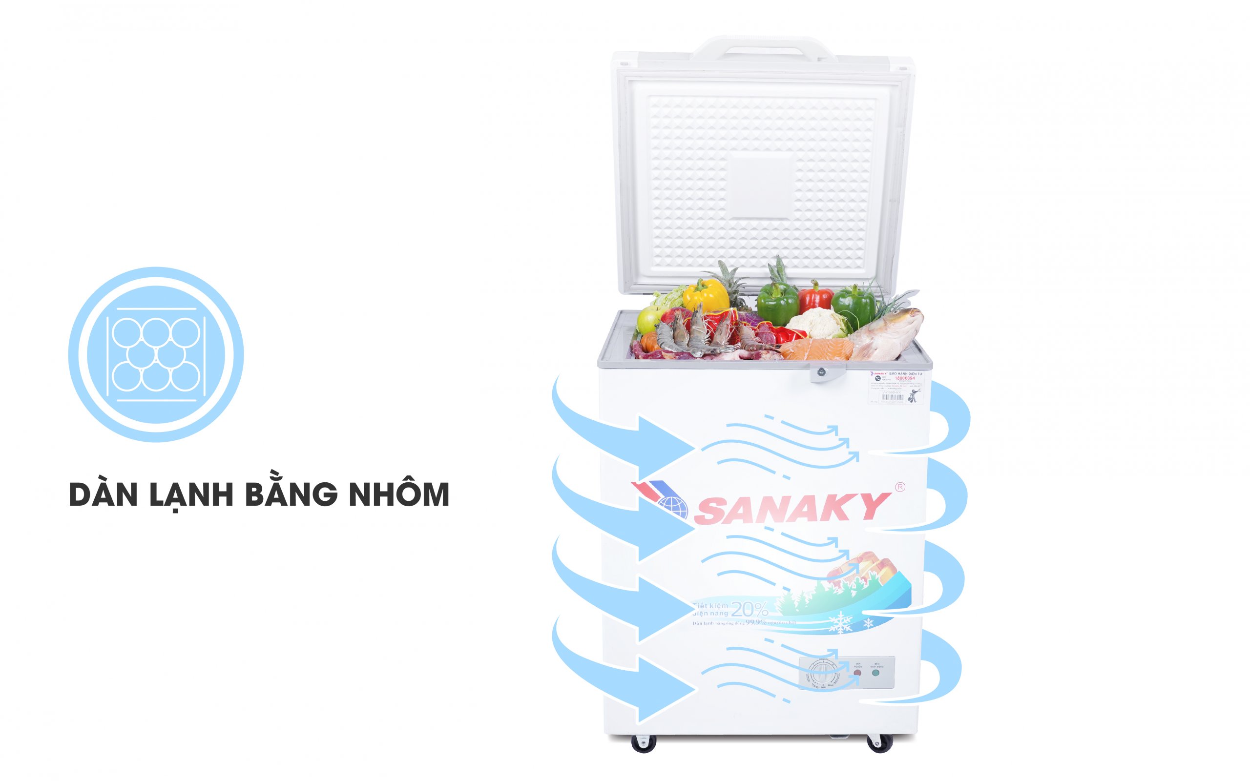 Tủ Đông Sanaky VH-999K
