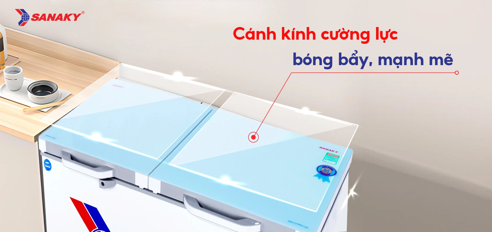 Tủ Đông Sanaky VH-2599W2KD