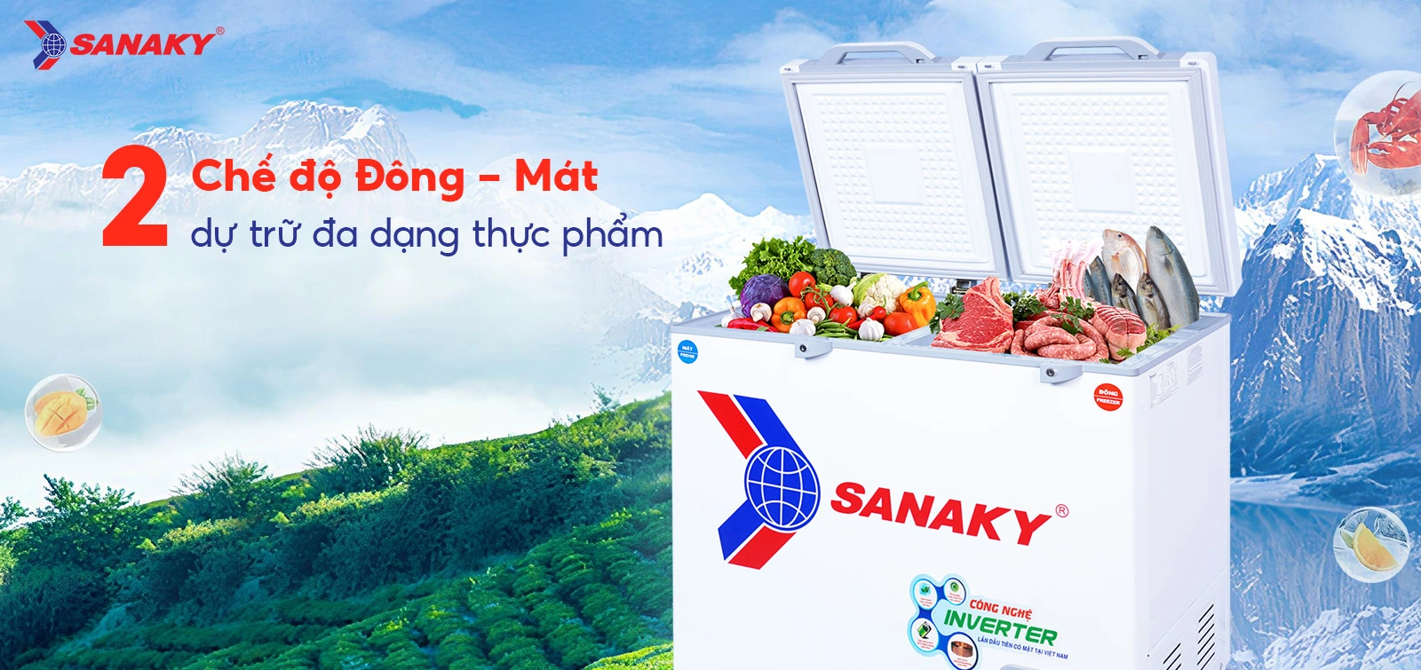 Tủ Đông Sanaky VH-2599W4K
