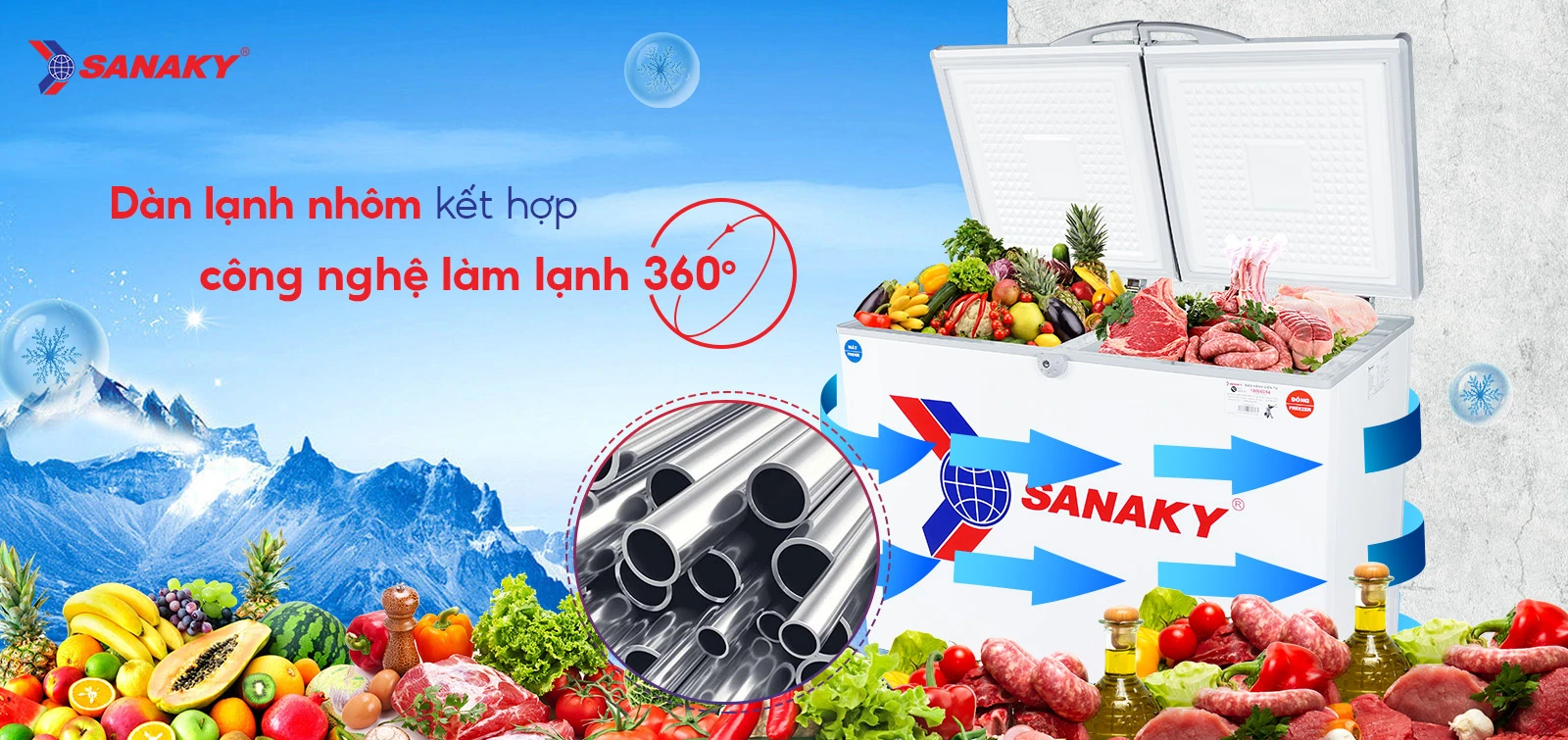 Tủ Đông Sanaky VH-285W2
