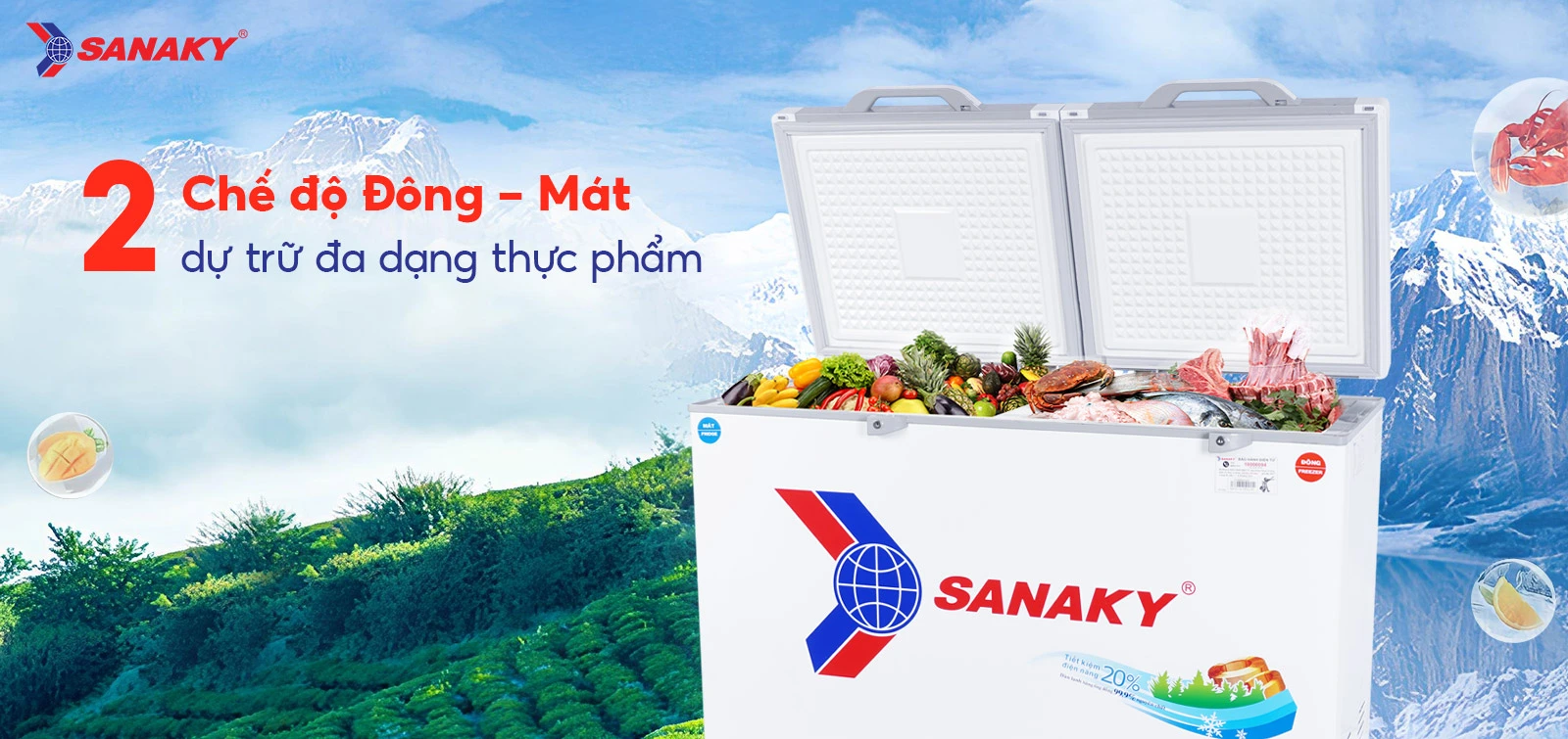 Tủ Đông Sanaky VH-3699W2KD