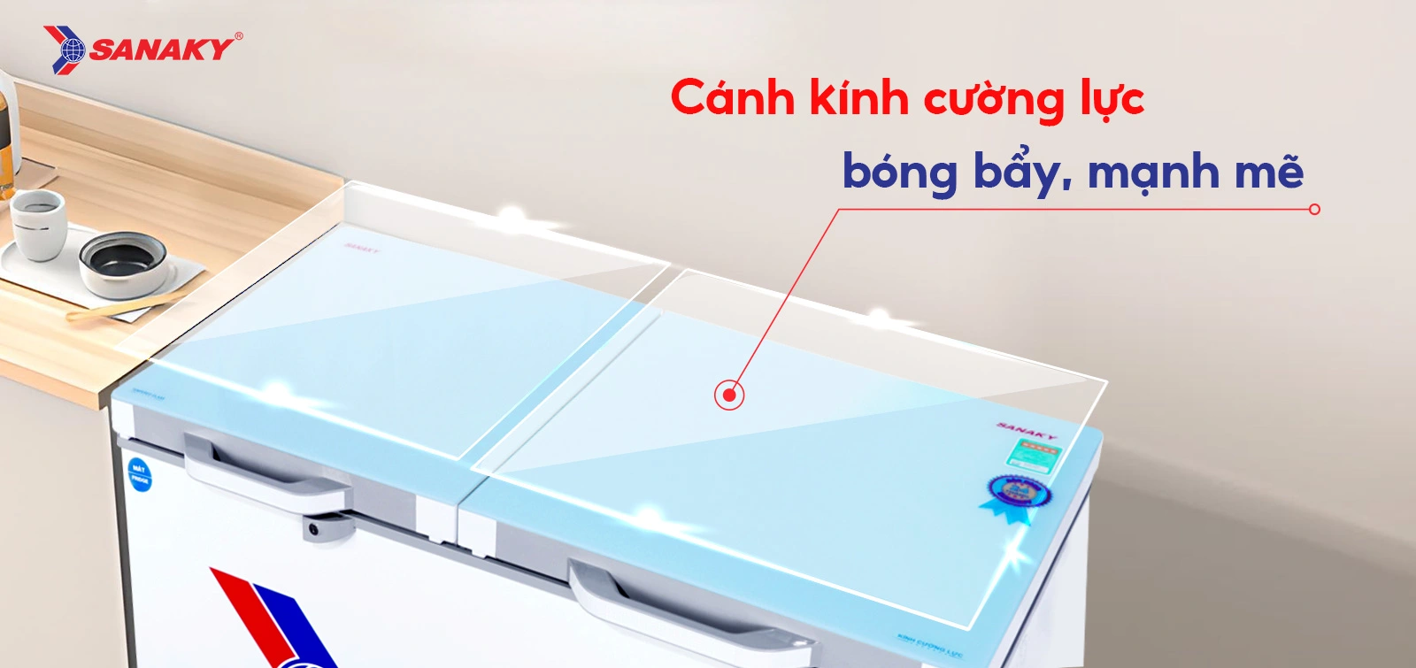 Tủ Đông Sanaky VH-3699W2KD