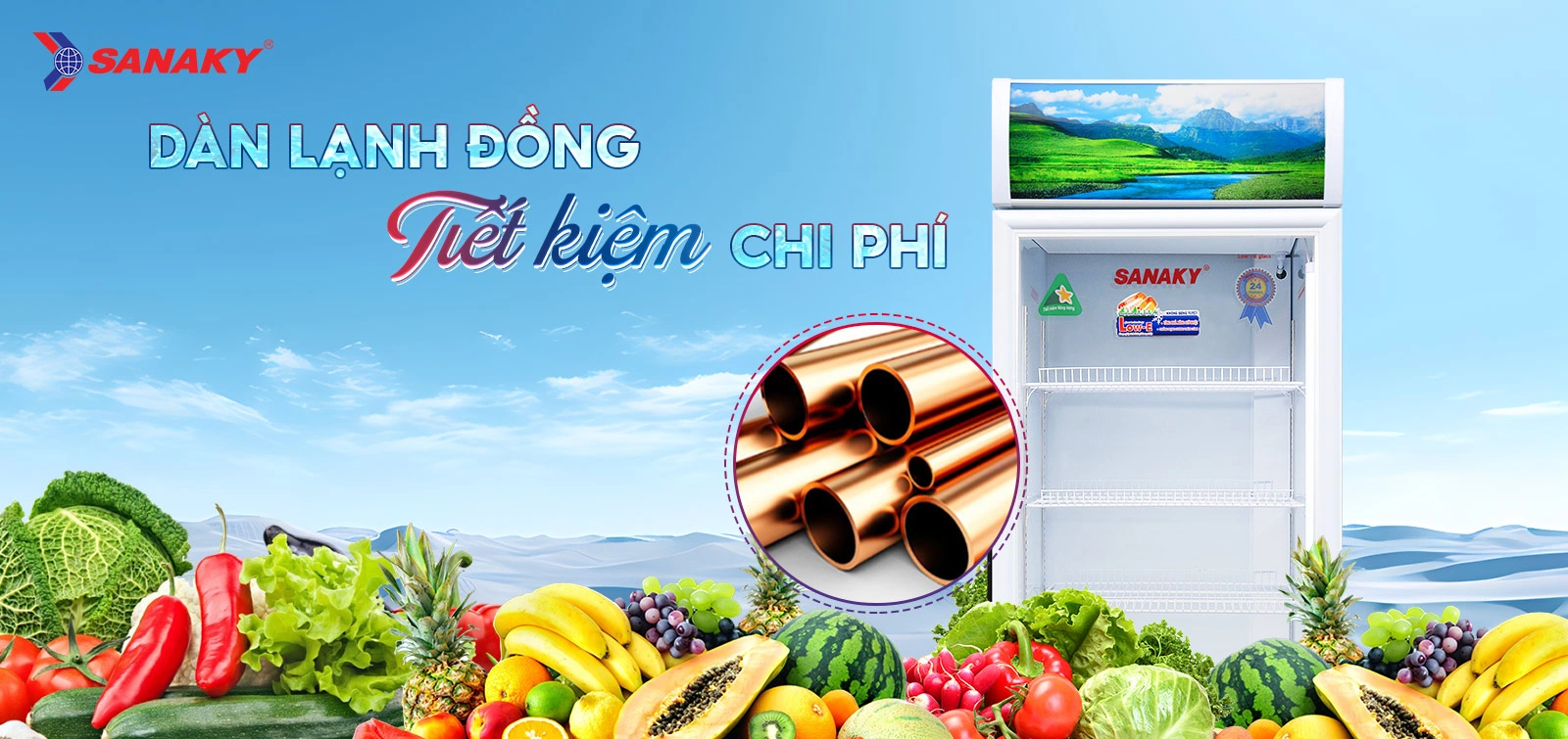 Tủ mát Sanaky VH-4099K