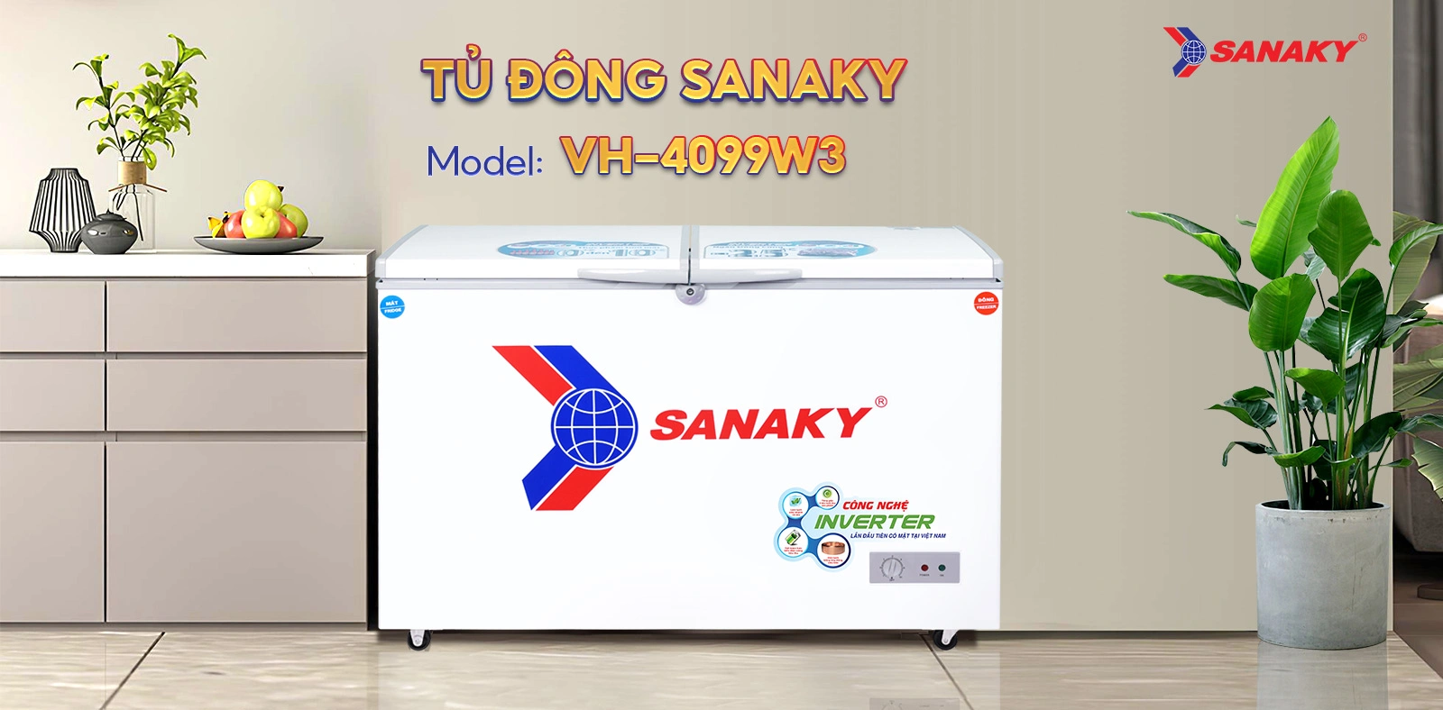 Tủ Đông Sanaky VH-4099W3