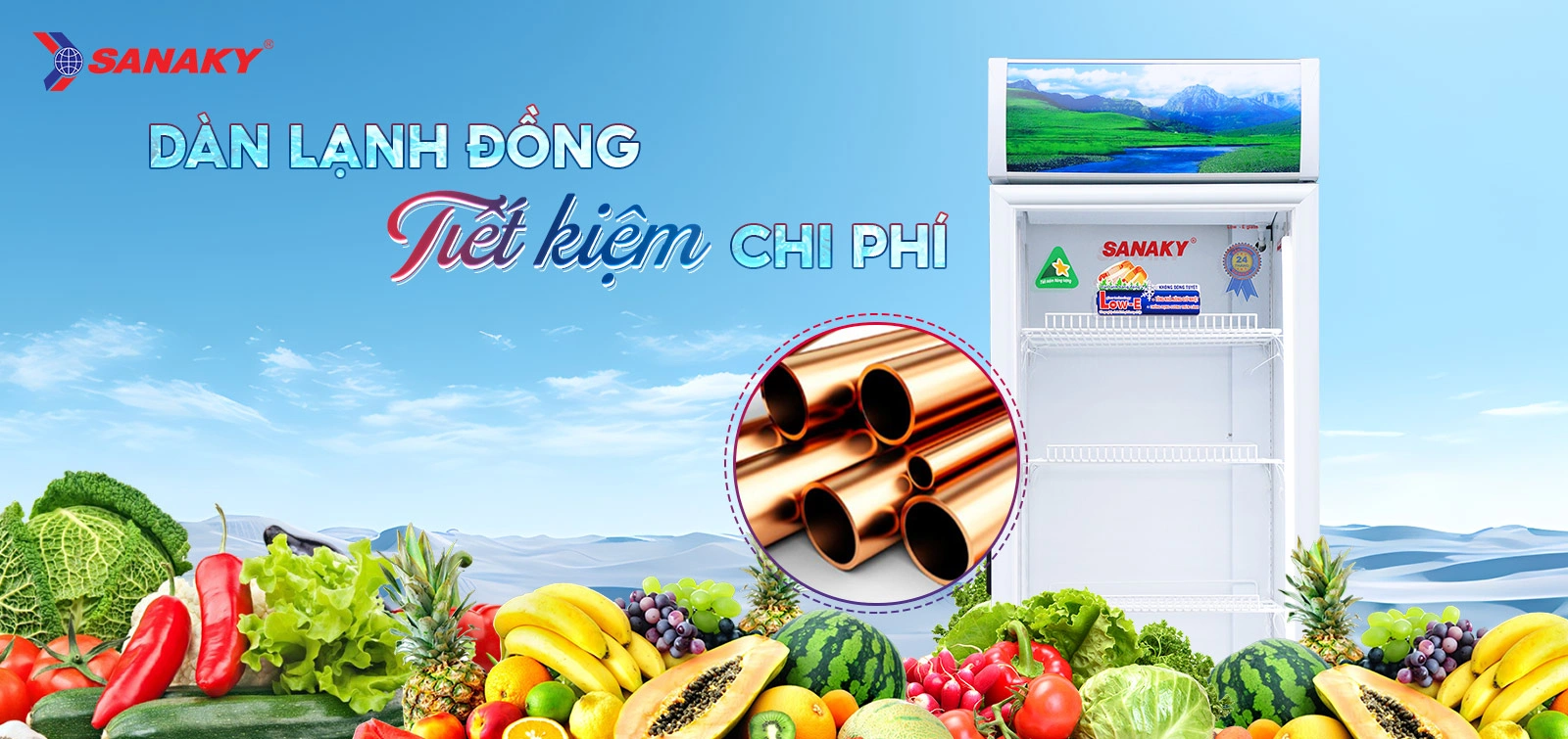 Tủ mát Sanaky VH-4599K