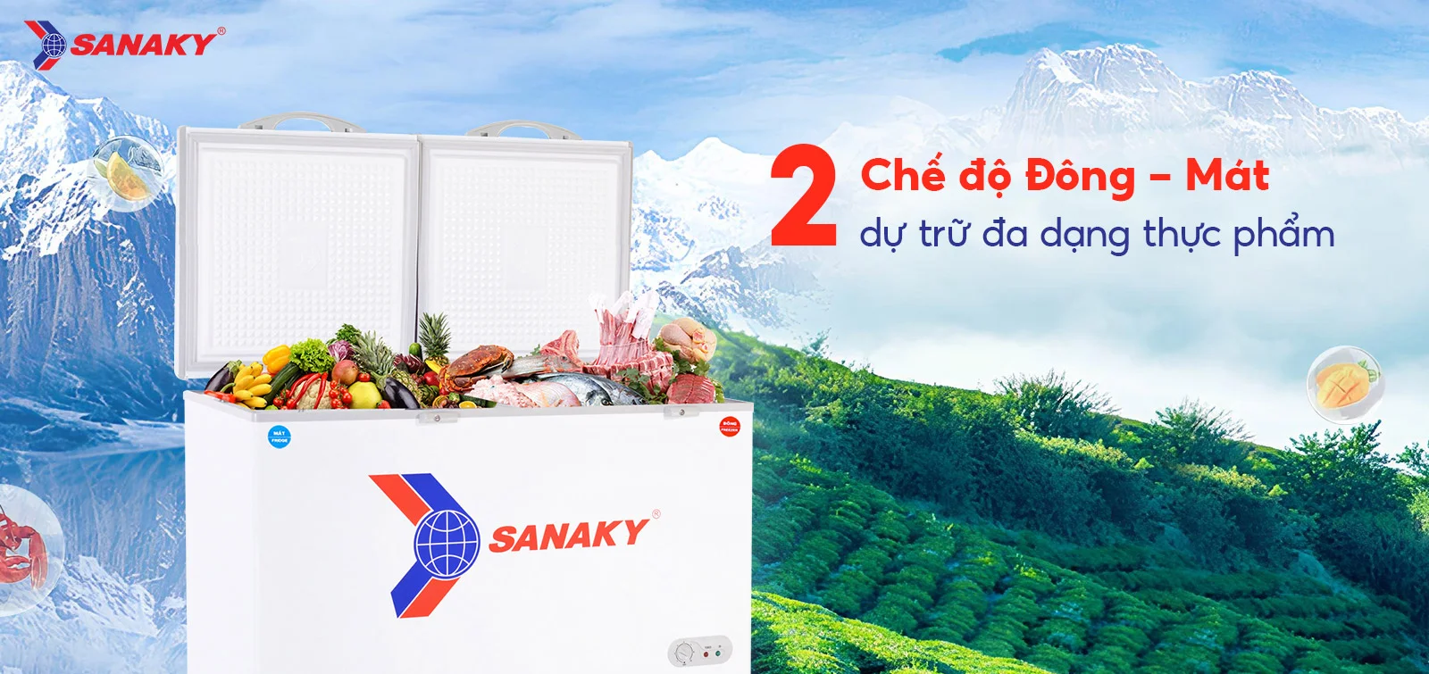Tủ Đông Sanaky VH-568W2
