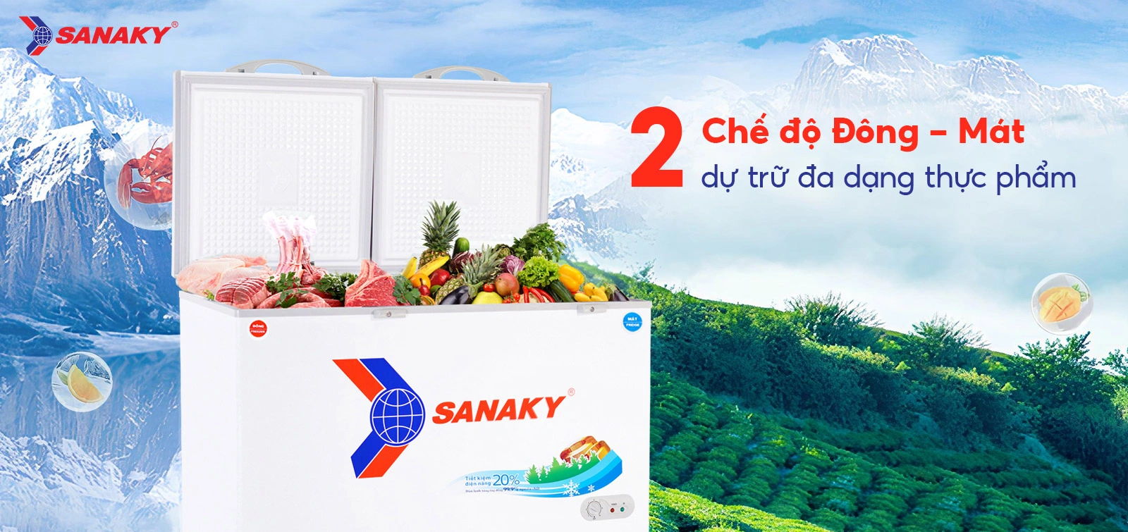 Tủ Đông Sanaky VH-5699W1