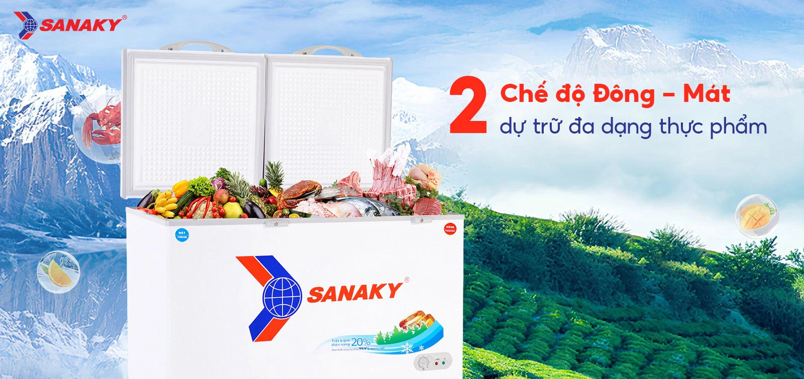 Tủ Đông Sanaky VH-5699W1
