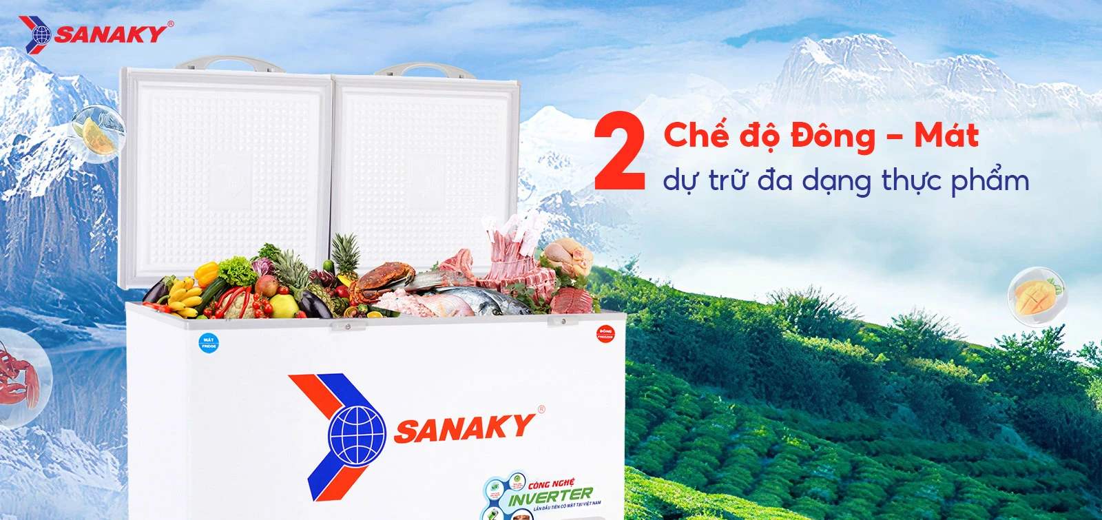 Tủ Đông Sanaky VH-5699W3