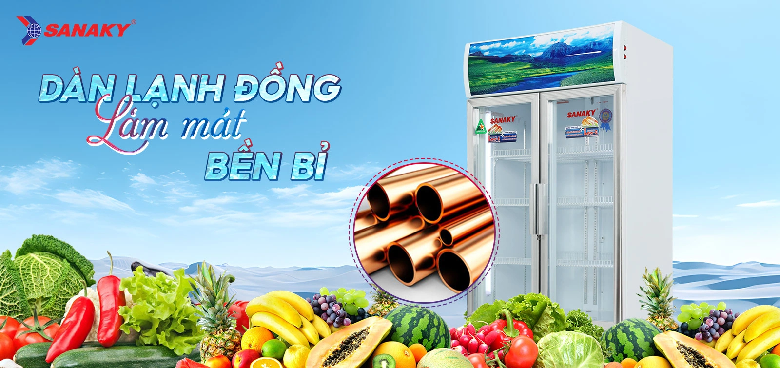 Tủ Mát Sanaky VH-6009HP