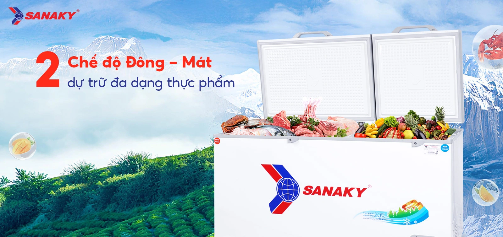 Tủ Đông Sanaky VH-6699W1