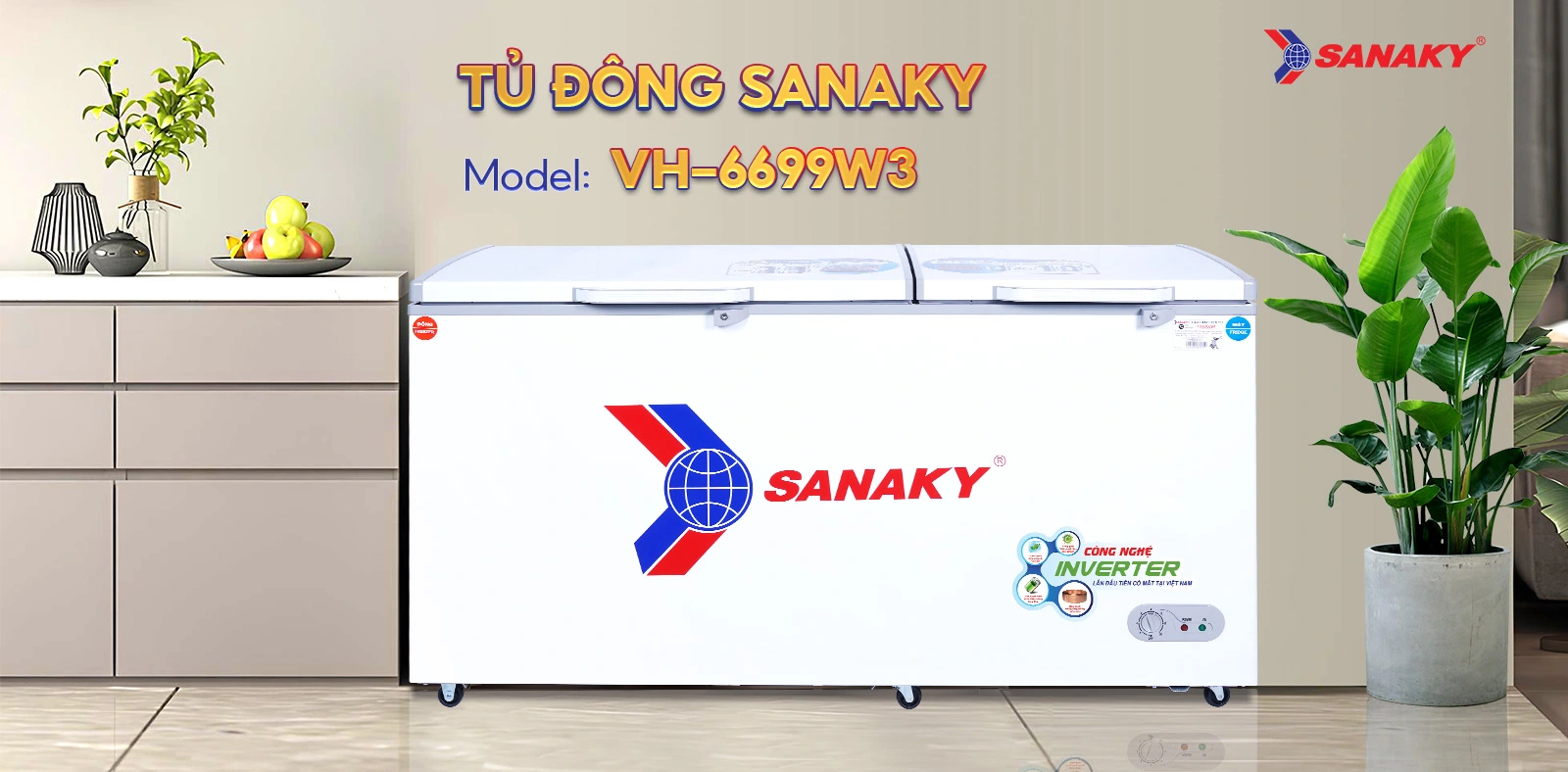 Tủ Đông Sanaky VH-6699W3