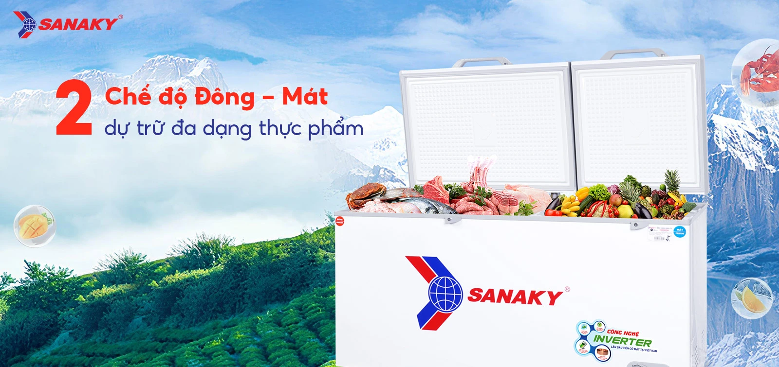 Tủ Đông Sanaky VH-6699W3