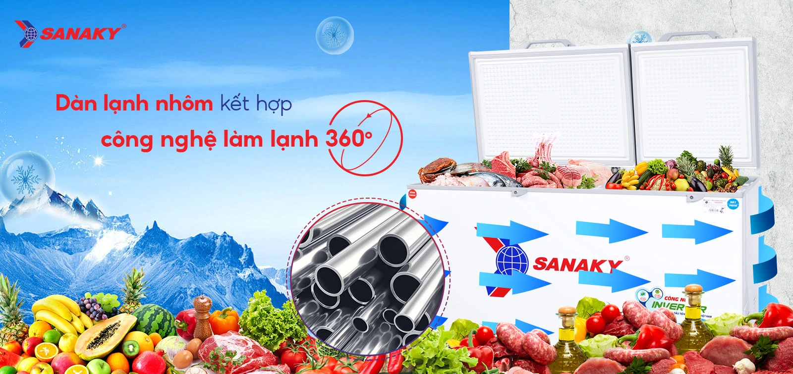Tủ Đông Sanaky VH-6699W3