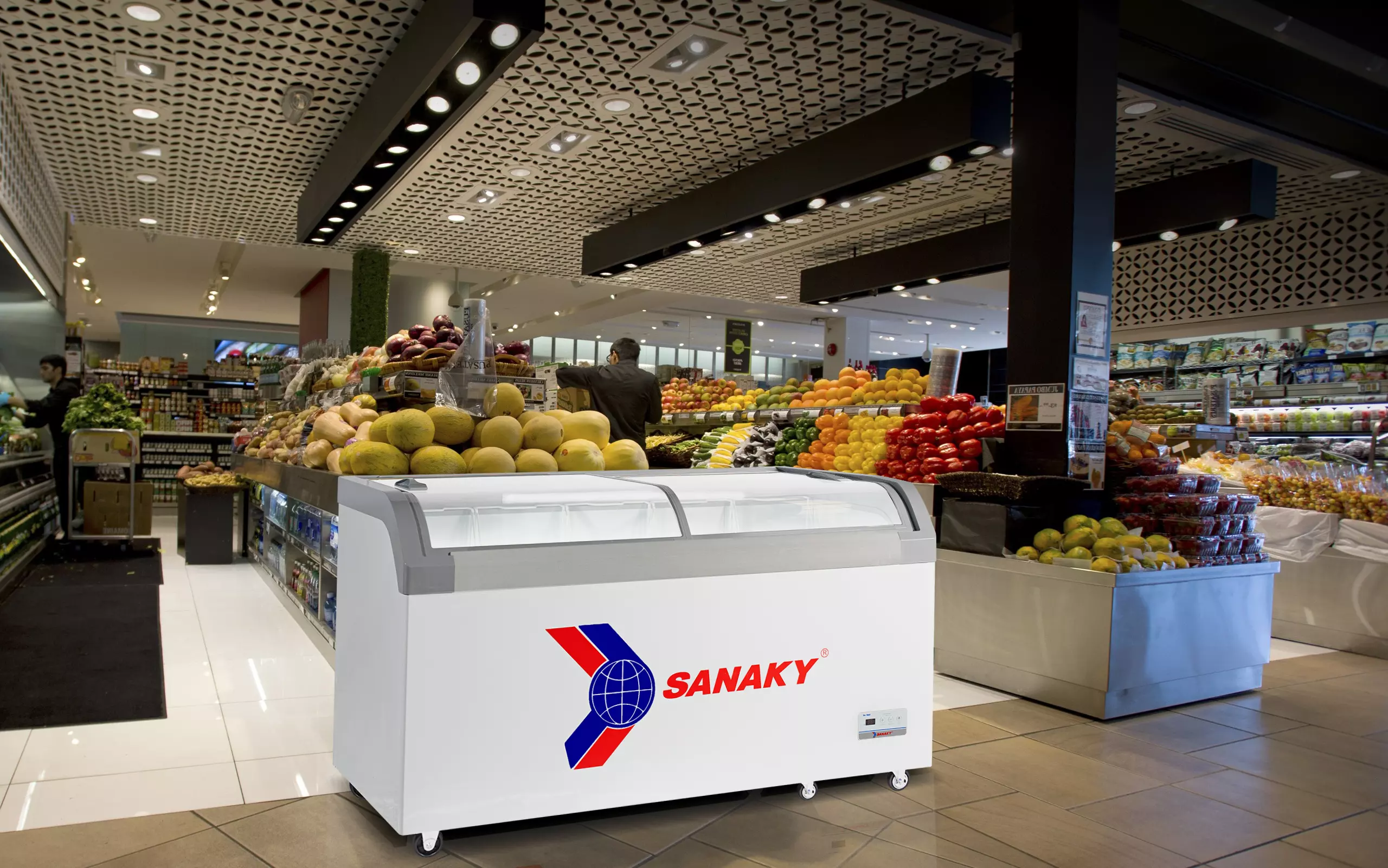 Tủ Đông Sanaky VH-382KB