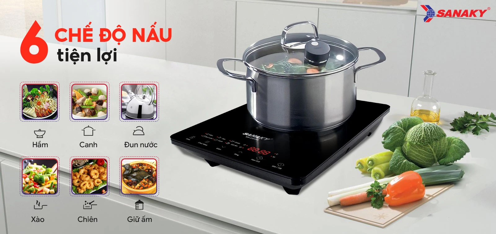 Bếp Từ đơn Sanaky VH-3101HY