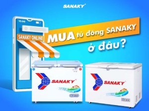 Mua tủ đông Sanaky ở đâu