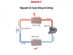 nguyên lý hoạt động tủ đông
