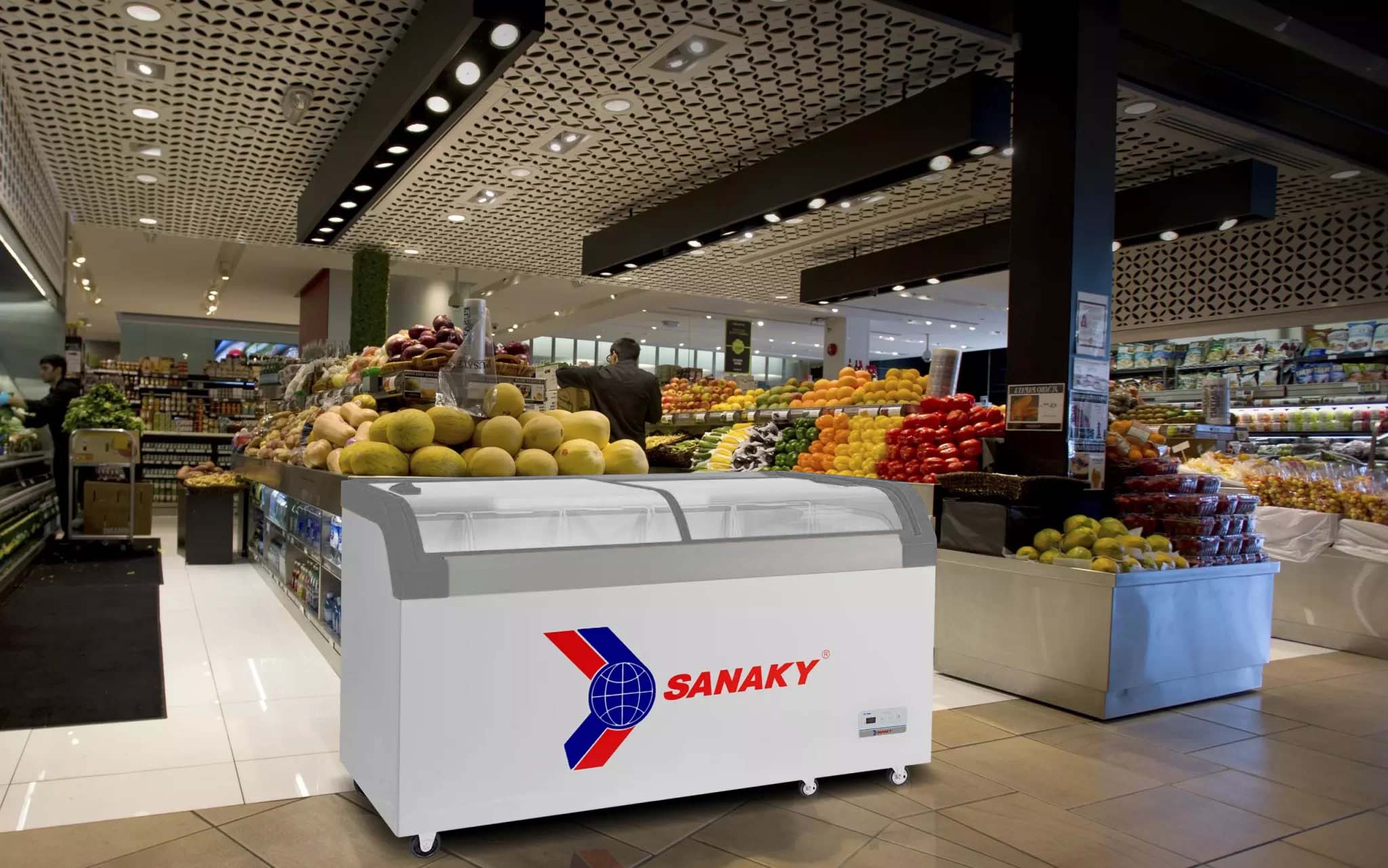 Tủ Đông Sanaky VH-899KA