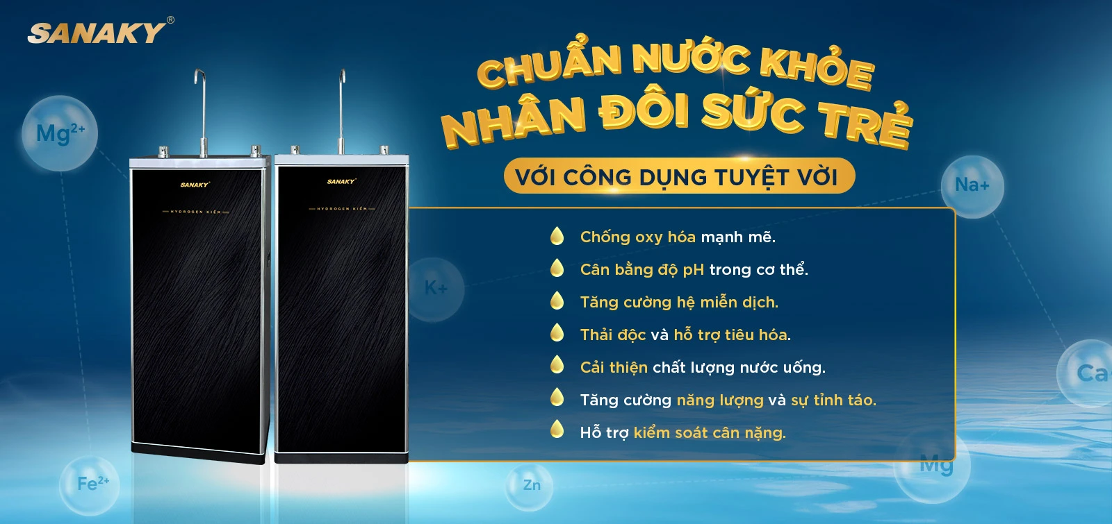 Máy lọc nước Sanaky SNK-E1HK008