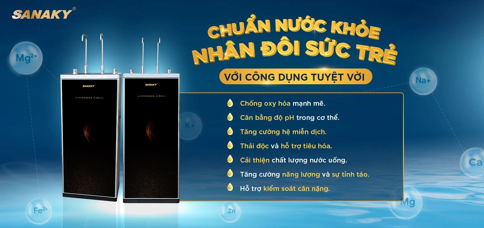 Máy lọc nước Sanaky SNK-E2HK006