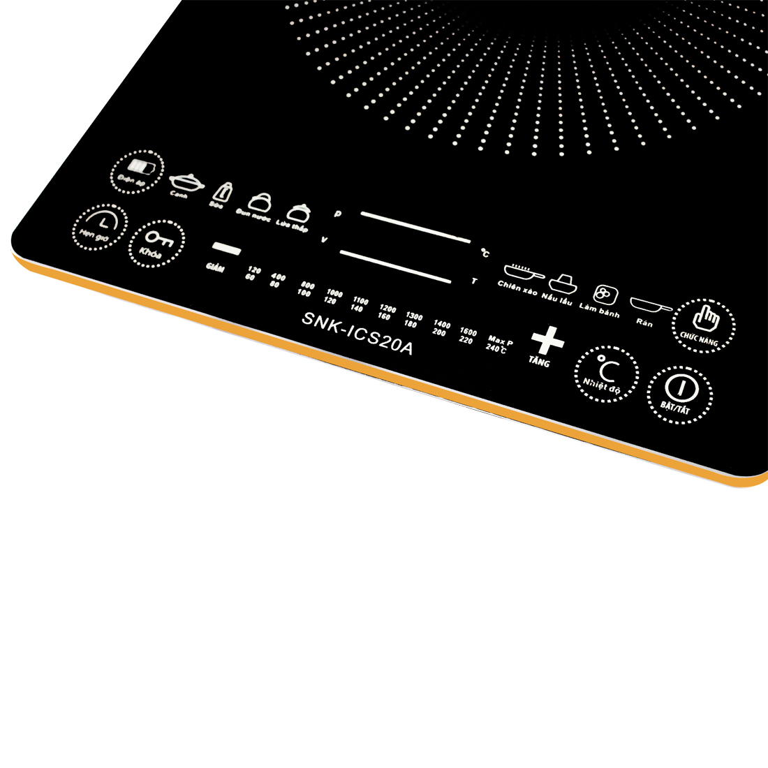 Bếp Từ Sanaky SNK-ICS20A
