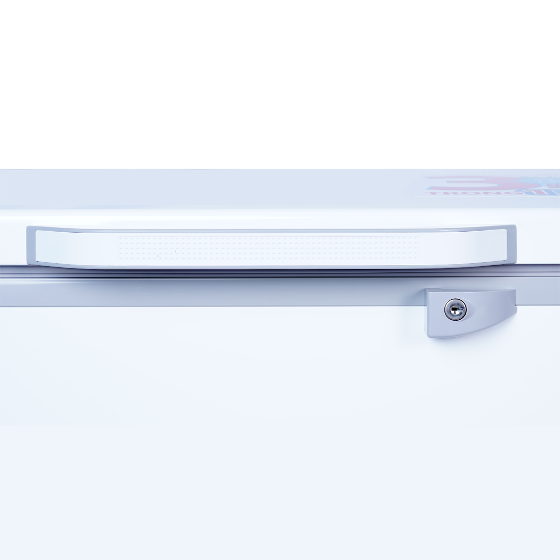 Tủ Đông Sanaky VH-1199HY3