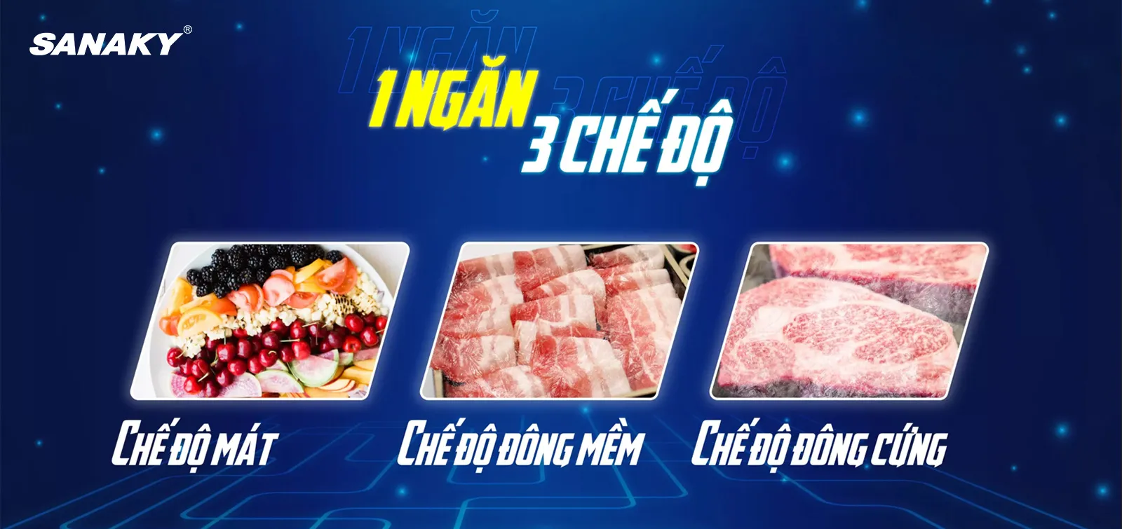 Tủ đông Sanaky VH-1399HYK