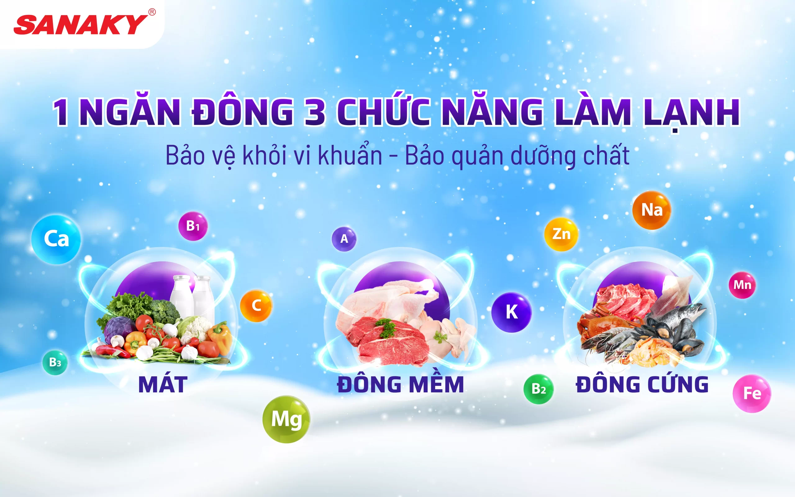 Tủ đông Sanaky VH-1799HY