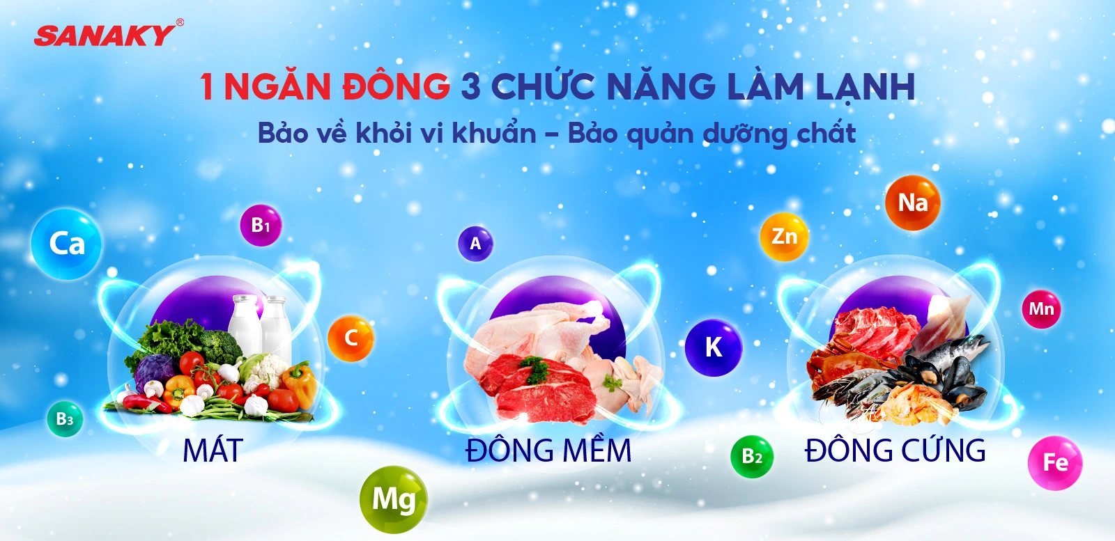 Tủ đông Sanaky VH-1799HY3