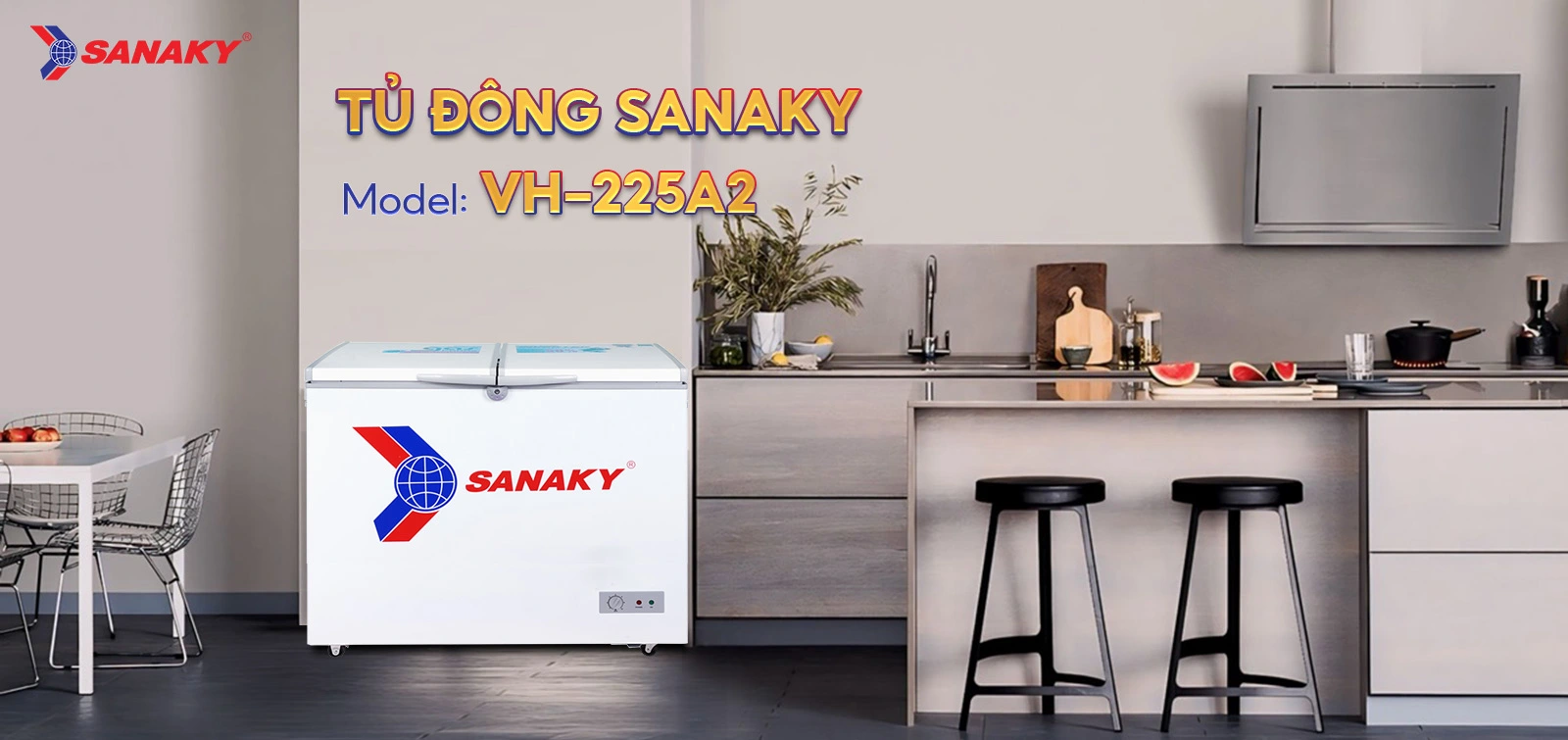 Tủ Đông Sanaky VH-225A2