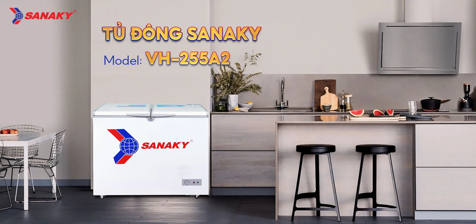 Tủ Đông Sanaky VH-255A2