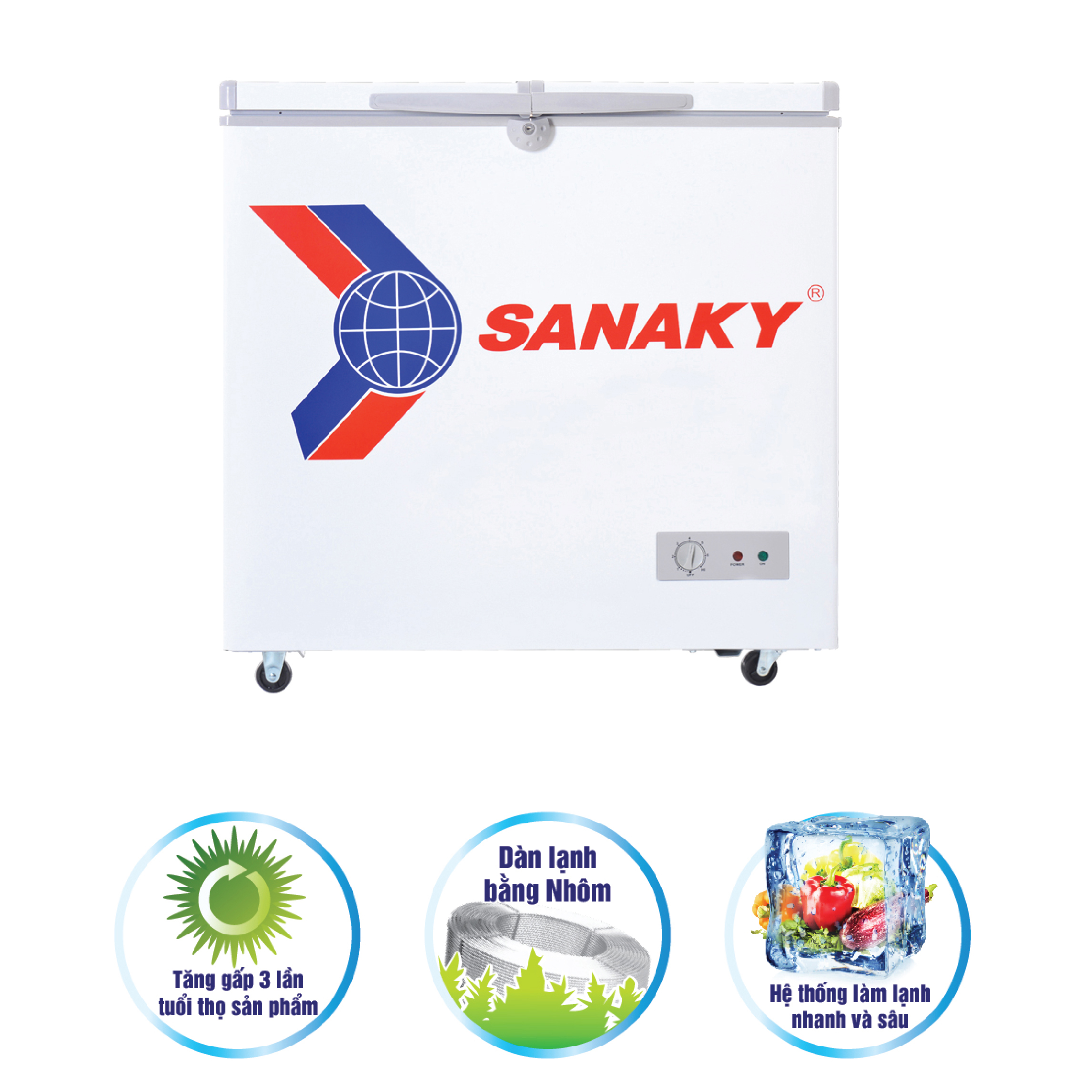 Tủ Đông Sanaky VH-255A2