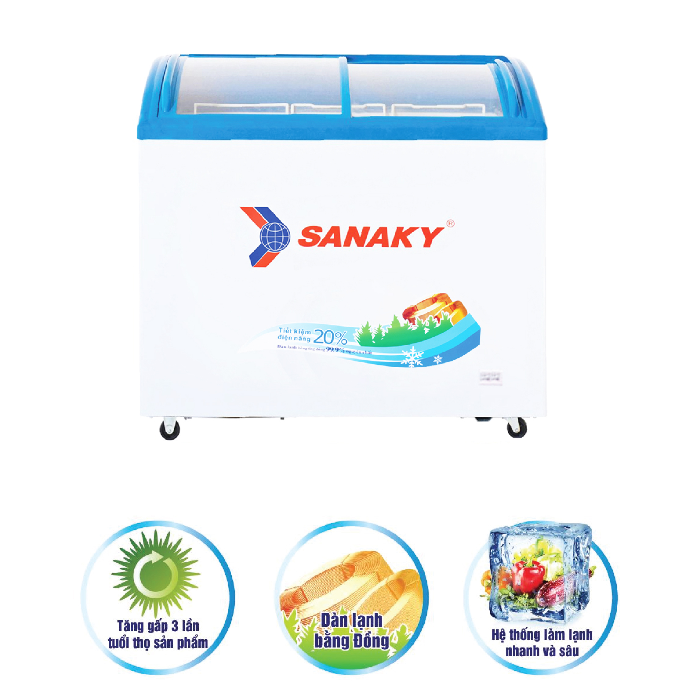 Tủ Đông Sanaky VH-2899K