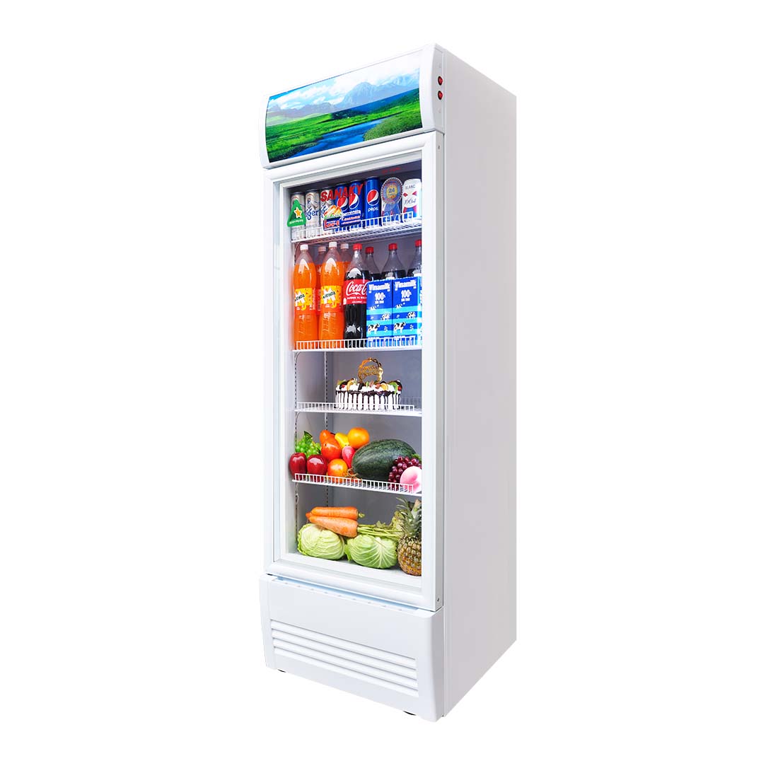 Tủ mát Sanaky VH-4099K