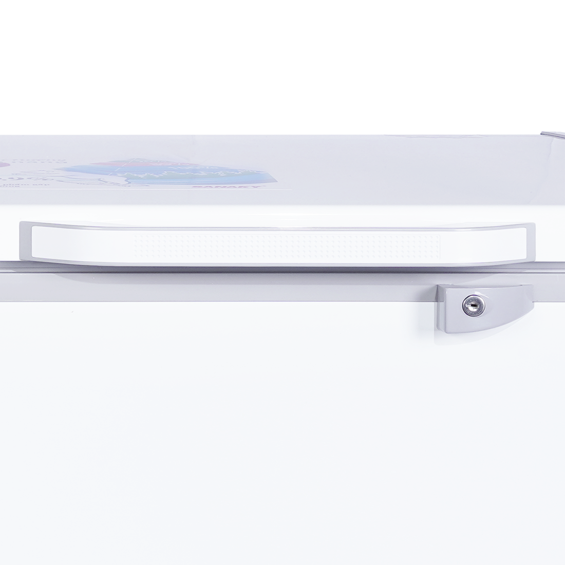 Tủ Đông Sanaky VH-5699HY