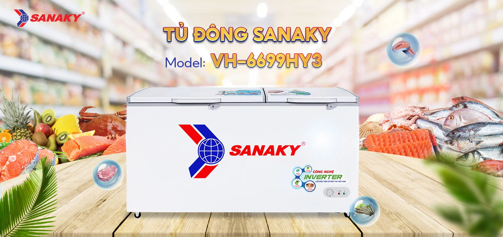 Tủ Đông Sanaky VH-6699HY3