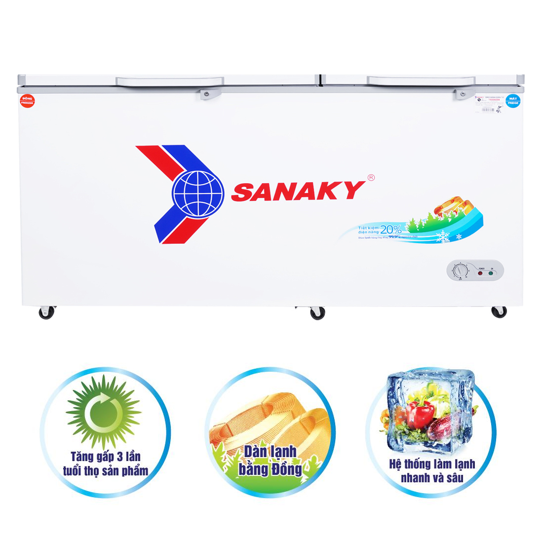 Tủ Đông Sanaky VH-6699W1