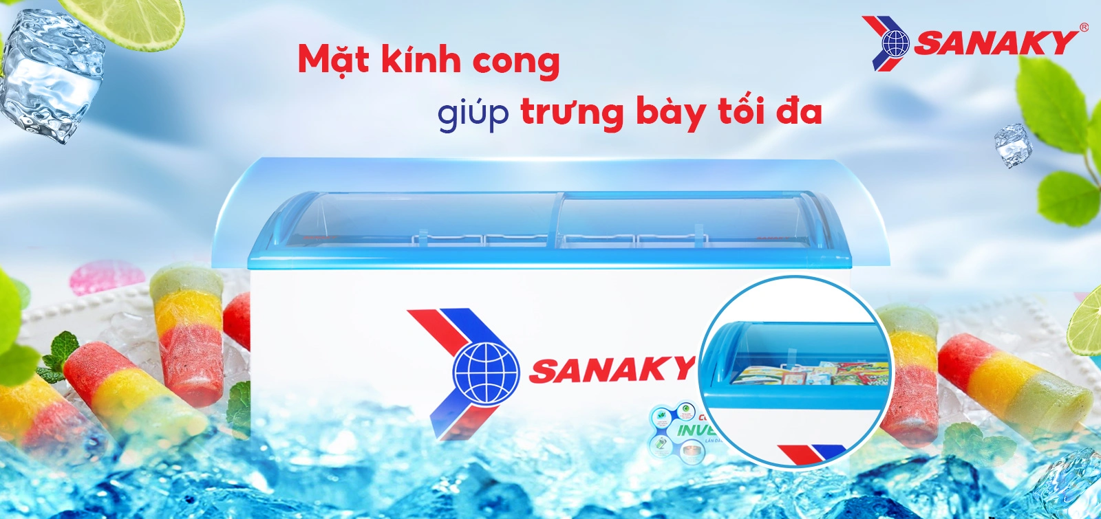 Tủ Đông Sanaky VH-6899K3