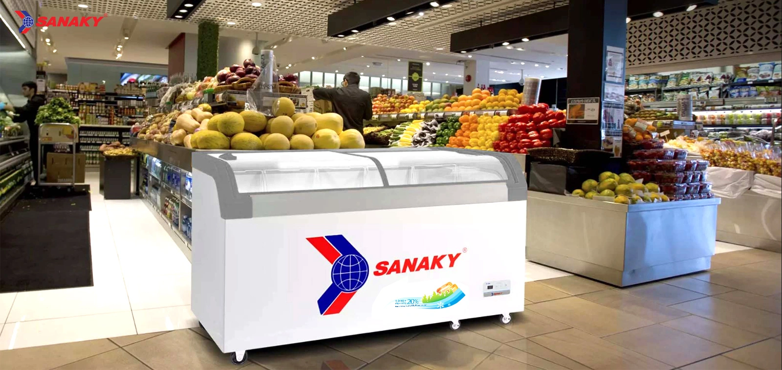Tủ Đông Sanaky VH-899KA