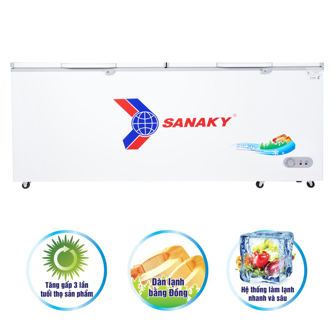 Tủ Đông Sanaky VH-8699HY