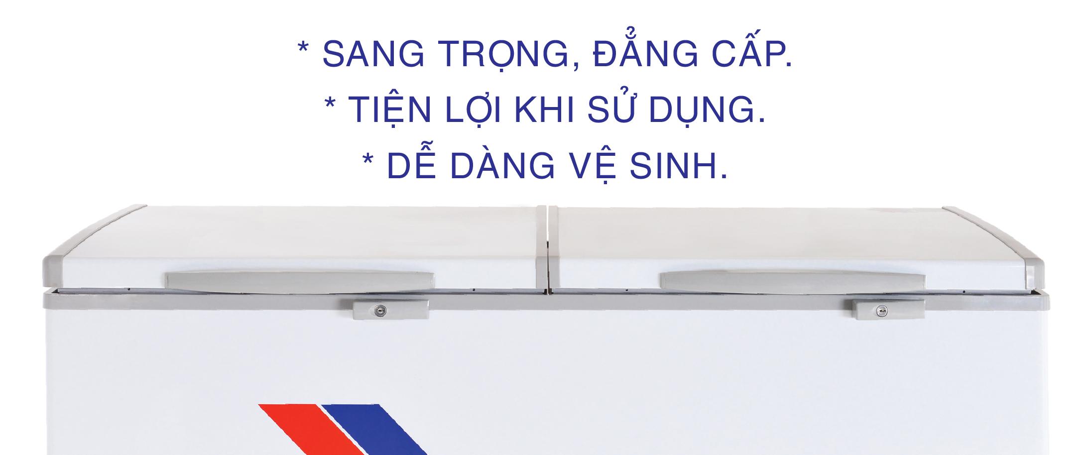 Tủ Đông Sanaky VH-2599A3