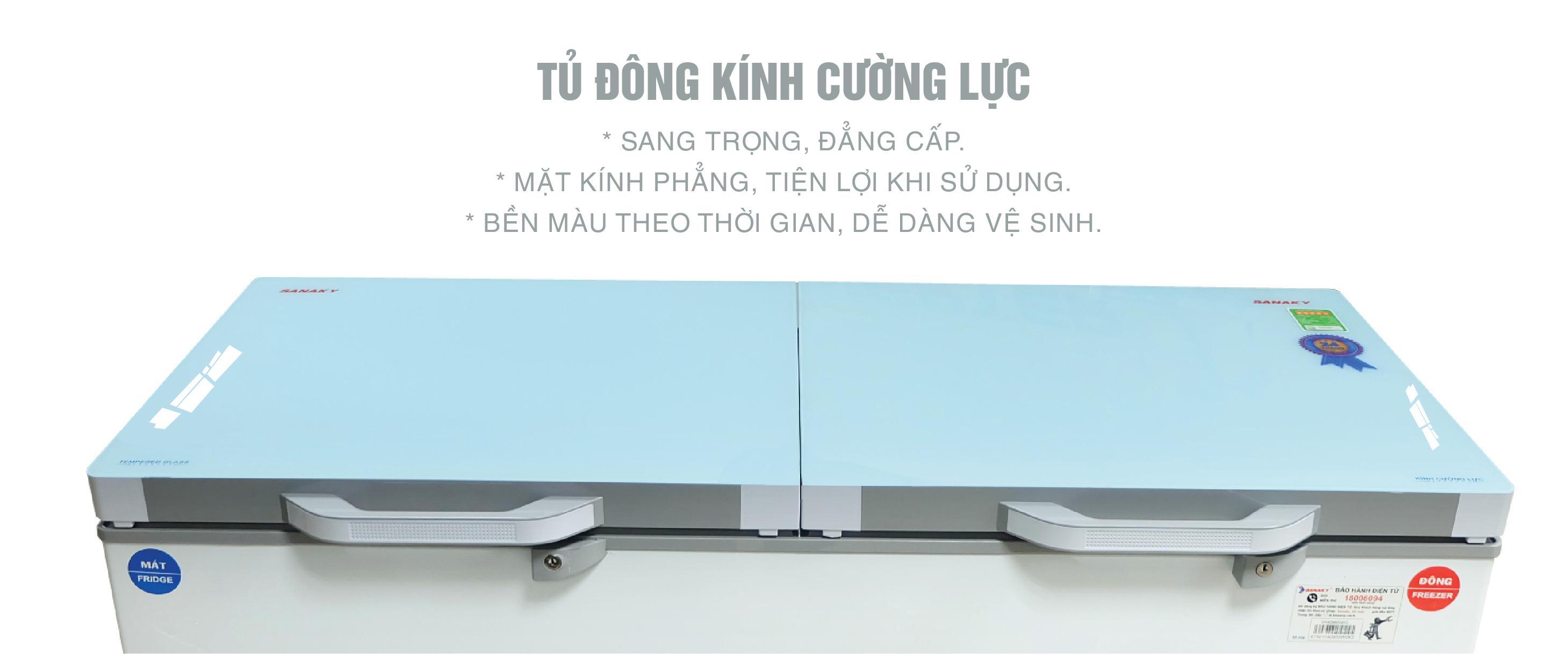 Tủ Đông Sanaky VH-2599A2KD