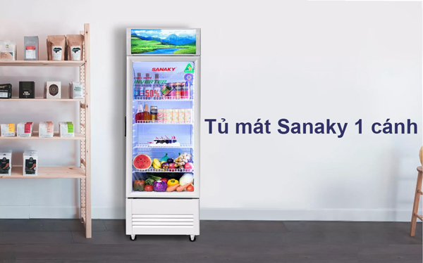 nen-chon-mua-tu-mat-sanaky-mot-canh-hay-hai-canh-1