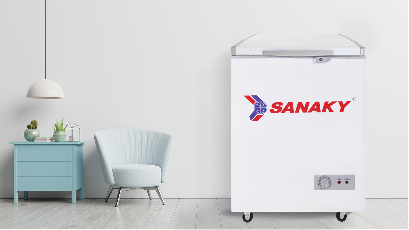 Tủ Đông Sanaky VH-999K