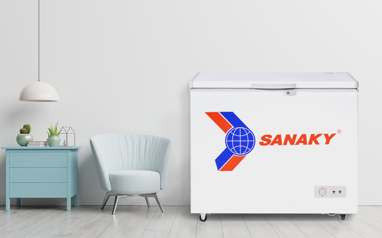 Tủ Đông Sanaky VH-255HY2